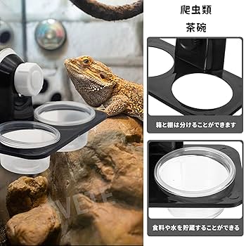 爬虫類　水 エサ入れ　21 Amazon | TVETE 爬虫類 餌入れ 爬虫類の餌と水の皿 の餌のボウル